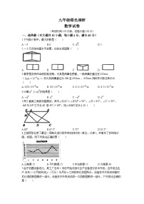 2023年安徽省合肥市第四十五中学中考三模数学试题(无答案)