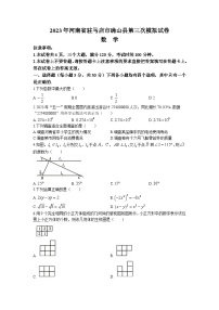 2023年河南省驻马店市确山县中考三模数学试题