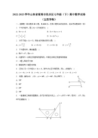 2022-2023学年山东省淄博市张店区七年级（下）期中数学试卷（五四学制）（含解析）