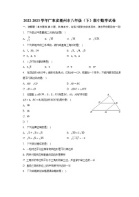 2022-2023学年广东省潮州市八年级（下）期中数学试卷(含解析）