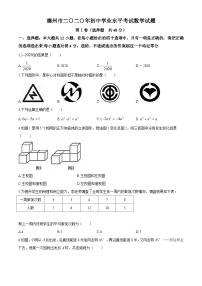 2020年山东省德州市中考数学试题（word版，含答案）