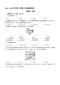 2023年河南省新乡河南师范大学附属中学中考三模数学试题（含答案）