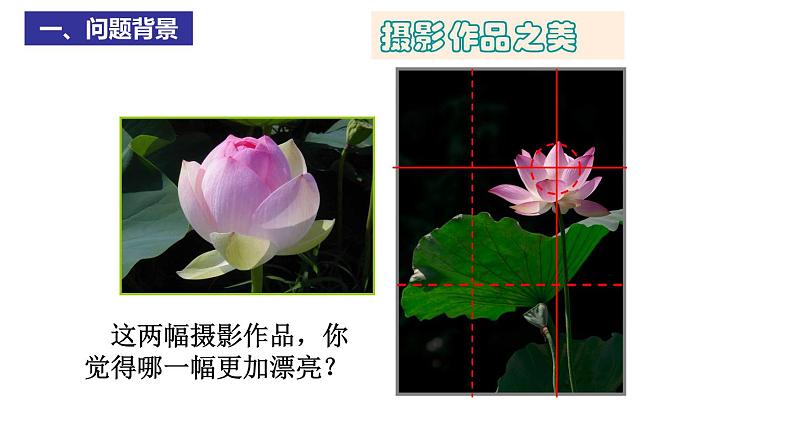 2023年浙江省中考数学二轮专题复习：美妙的黄金分割 课件第3页