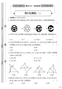 （2023秋）（初中）八年级上册-青岛版数学-期中检测题（一）