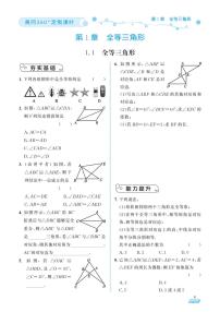 （2023秋）（初中）青岛版数学（八上）-随堂跟练（共92页）