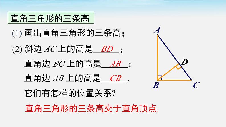 4.1 第4课时三角形的高课件第6页