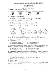 2023射阳县实验中学八年级春季阶段巩固练习数学试卷