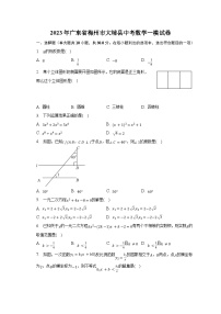 2023年广东省梅州市大埔县中考数学一模试卷（含解析）