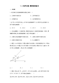 北师大版八年级下册4 角平分线同步练习题