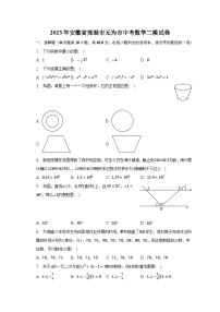 2023年安徽省芜湖市无为市中考数学二模试卷（含解析）