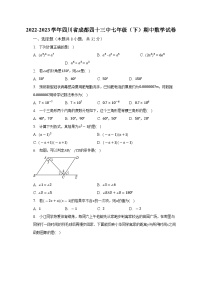 2022-2023学年四川省成都四十三中七年级（下）期中数学试卷（含解析）