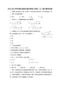 2022-2023学年重庆实验外国语学校七年级（下）期中数学试卷（含解析）