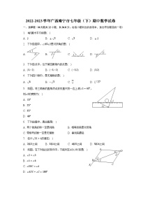 2022-2023学年广西南宁市七年级（下）期中数学试卷（含解析）