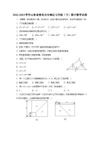 2022-2023学年山东省青岛市市南区七年级（下）期中数学试卷（含解析）