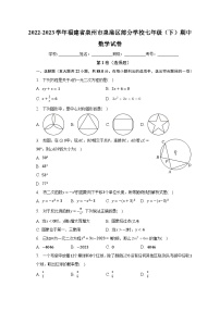 2022-2023学年福建省泉州市泉港区部分学校七年级（下）期中数学试卷（含解析）