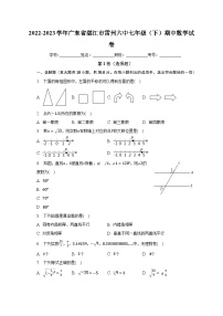 2022-2023学年广东省湛江市雷州六中七年级（下）期中数学试卷（含解析）