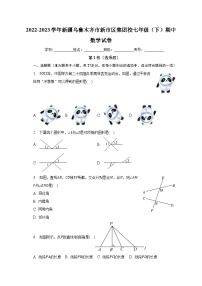 2022-2023学年新疆乌鲁木齐市新市区集团校七年级（下）期中数学试卷（含解析）