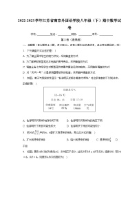 2022-2023学年江苏省南京外国语学校八年级（下）期中数学试卷（含解析）