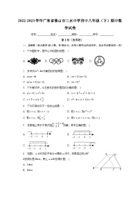 2022-2023学年广东省佛山市三水中学附中八年级（下）期中数学试卷（含解析）