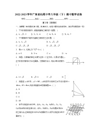 2022-2023学年广东省汕尾中学八年级（下）期中数学试卷（含解析）