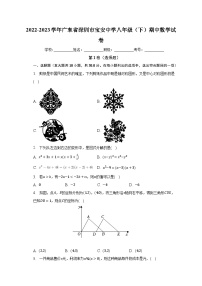 2022-2023学年广东省深圳市宝安中学八年级（下）期中数学试卷（含解析）