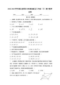 2022-2023学年湖北省武汉市东湖高新区八年级（下）期中数学试卷（含解析）