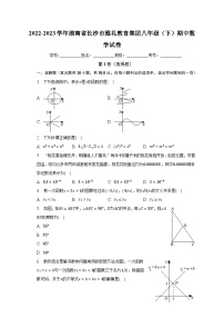 2022-2023学年湖南省长沙市雅礼教育集团八年级（下）期中数学试卷（含解析）