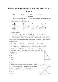 2022-2023学年湖南省长沙市雨花区南雅中学八年级（下）期中数学试卷（含解析）