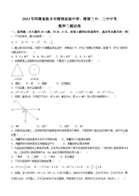 2023年河南省新乡市僧固实验中学、僧固二中、三中中考二模数学试题（含答案）