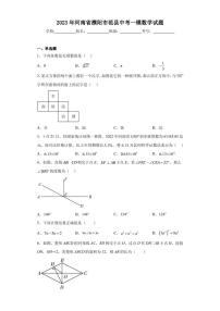 2023年河南省濮阳市范县中考一模数学试题（含答案解析）