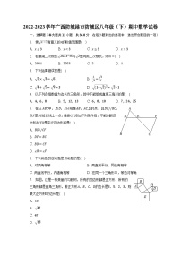 2022-2023学年广西防城港市防城区八年级（下）期中数学试卷（含解析）