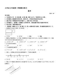 2023年北京市大兴区中考二模数学试题（含答案）