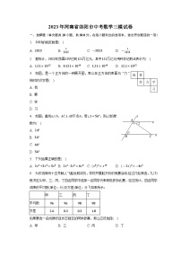 2023年河南省洛阳市中考数学三模试卷（含答案）