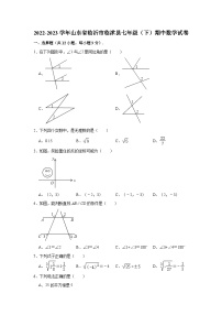 2022-2023学年山东省临沂市临沭县七年级（下）期中数学试卷（含解析）