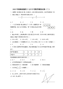 2023年湖南省衡阳十七中中考数学模拟试卷（二）（含解析）