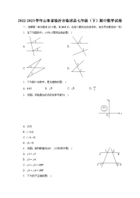 2022-2023学年山东省临沂市临沭县七年级（下）期中数学试卷（含解析）