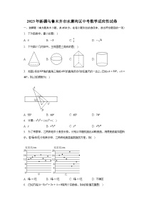 2023年新疆乌鲁木齐市水磨沟区中考数学适应性试卷（含解析）