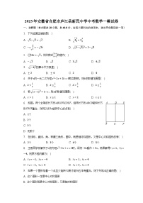 2023年安徽省合肥市庐江县新民中学中考数学一模试卷（含解析）