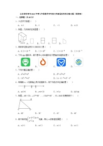 山东省济南市2023年九年级数学中考复习考前适应性综合练习题（含答案）