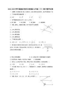 2022-2023学年福建省龙岩市连城县七年级（下）期中数学试卷（含解析）