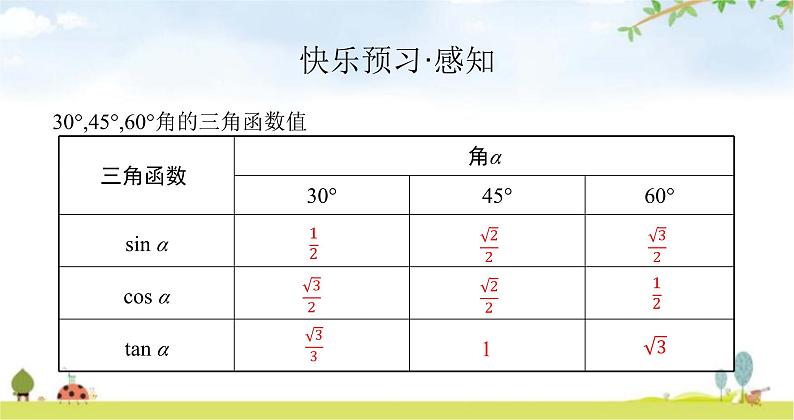 北师版初中数学九年级下册第一章直角三角形的边角关系230°,45°,60°角的三角函数值课件03