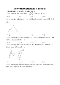 2023年中考数学精选真题实战测试48 图形的相似 B