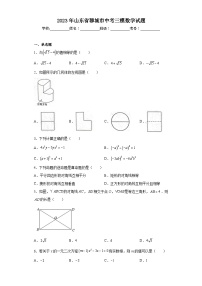 2023年山东省聊城市中考三模数学试题（含答案）