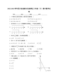 2022-2023学年四川省成都市龙泉驿区八年级（下）期中数学试卷（含解析）