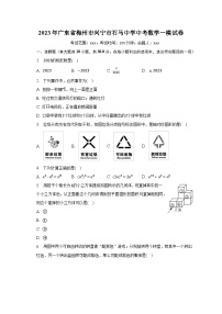 2023年广东省梅州市兴宁市石马中学中考数学一模试卷（含解析）