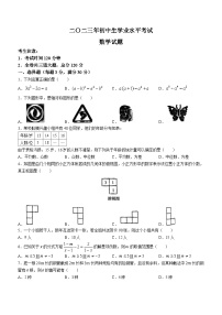 2023年黑龙江省鸡西市虎林市实验中学九年级中考三模数学试题（含答案）