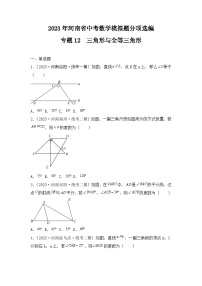 专题12  三角形与全等三角形——2023年河南省中考数学模拟题分项选编