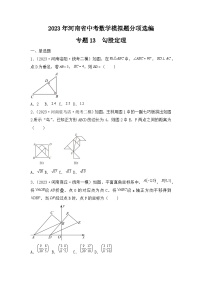 专题13  勾股定理——2023年河南省中考数学模拟题分项选编