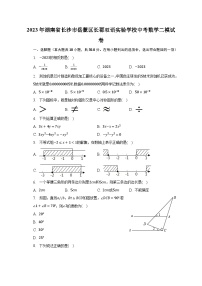 2023年湖南省长沙市岳麓区长郡双语实验学校中考数学二模试卷（含解析）