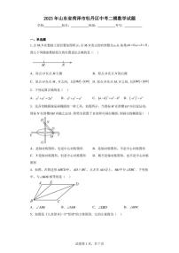 2023年山东省菏泽市牡丹区中考二模数学试题